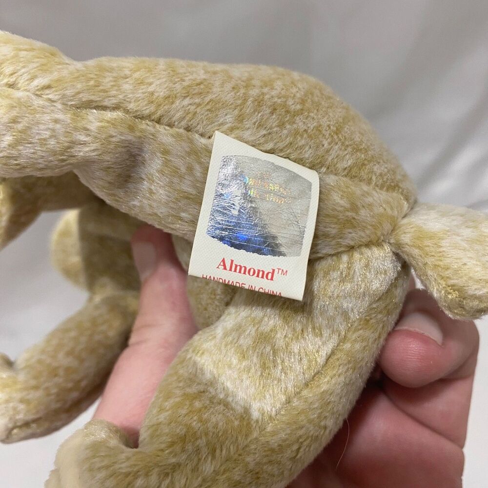 Ty Beanie Baby Almond the Bear 1999 Tan Bean Bag Plush Collectible Vintage - Picture 6 of 9